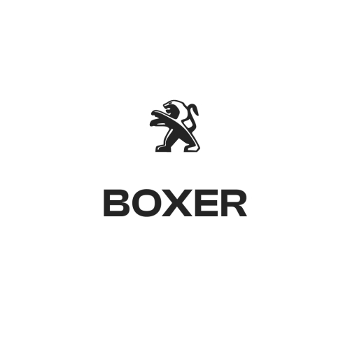 Boxer