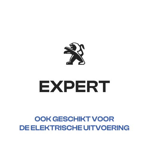 Expert